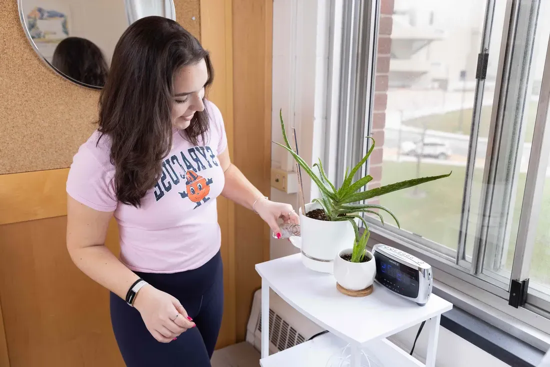 Student watering plant in dorm.